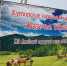 WhatsApp Image 2019-07-13 at 16.55.27.jpeg - Холмский городской округ