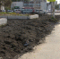 WhatsApp Image 2019-10-01 at 16.19.44.jpeg - Холмский городской округ