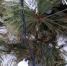 IMG-20211228-WA0039.jpg - Холмский городской округ